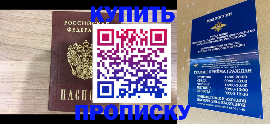 прописка 2025 в Вышнем Волочке